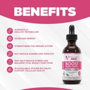 boost-energy-matrix-vegan-vitamin-b-comp-2.jpg