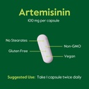 bestvite-artemisinin-100mg-240-vegetaria-5.jpg