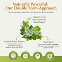 jiva-botanicals-bacopa-monnieri-suppleme-4.jpg