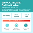doctor-by-cat-biome-probiotics-for-cats--6.jpg