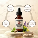 flowregen-prostate-drops-flowregen-suppl-3.jpg