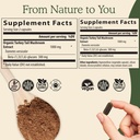 real-mushrooms-turkey-tail-powder-for-hu-3.jpg