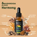 6-blend-mushroom-liquid-extract-us-grown-2.jpg