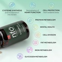 nfo-vitamin-b-complex-90-tablets-norwegi-3.jpg