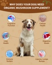 9-in-1-dog-mushroom-powder-drops-2.jpg