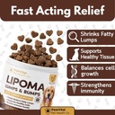 lipoma-treatment-for-dogs-lumps-bumps-su-2.jpg