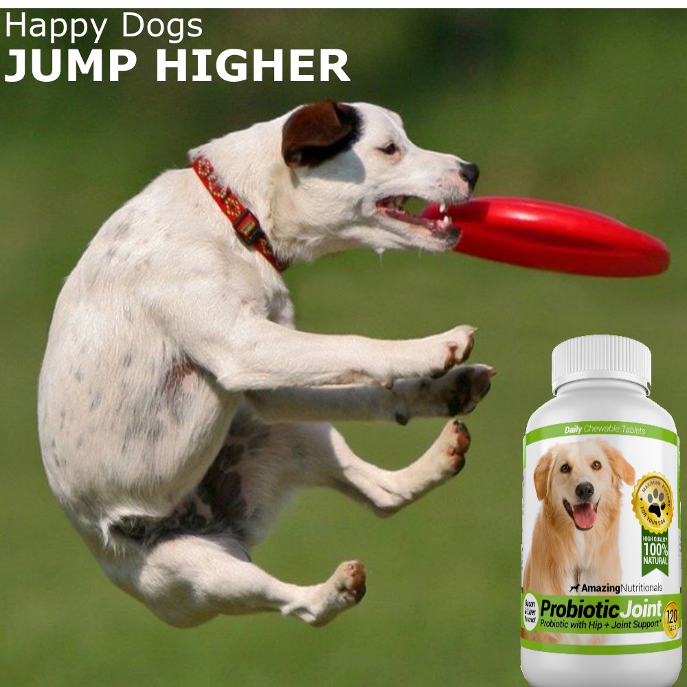 joint-support-turmeric-probiotics-for-do-5.jpg
