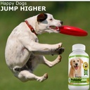 joint-support-turmeric-probiotics-for-do-5.jpg