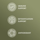 dr-mercola-herbal-immune-support-support-3.jpg