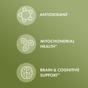 dr-mercola-organic-ginkgo-biloba-with-ne-4.jpg