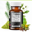 procera-xtf-perfect-study-aid-immediate--2.jpg