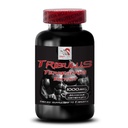 activity-power-tribulus-terrestris-extra-2.jpg