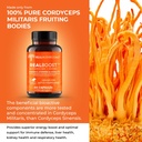real-mushrooms-realboost-60ct-lions-mane-3.jpg