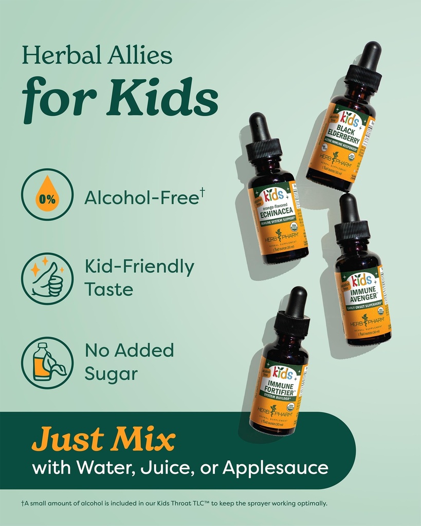 herb-pharm-kids-mullein-garlic-ear-oil-a-3.jpg