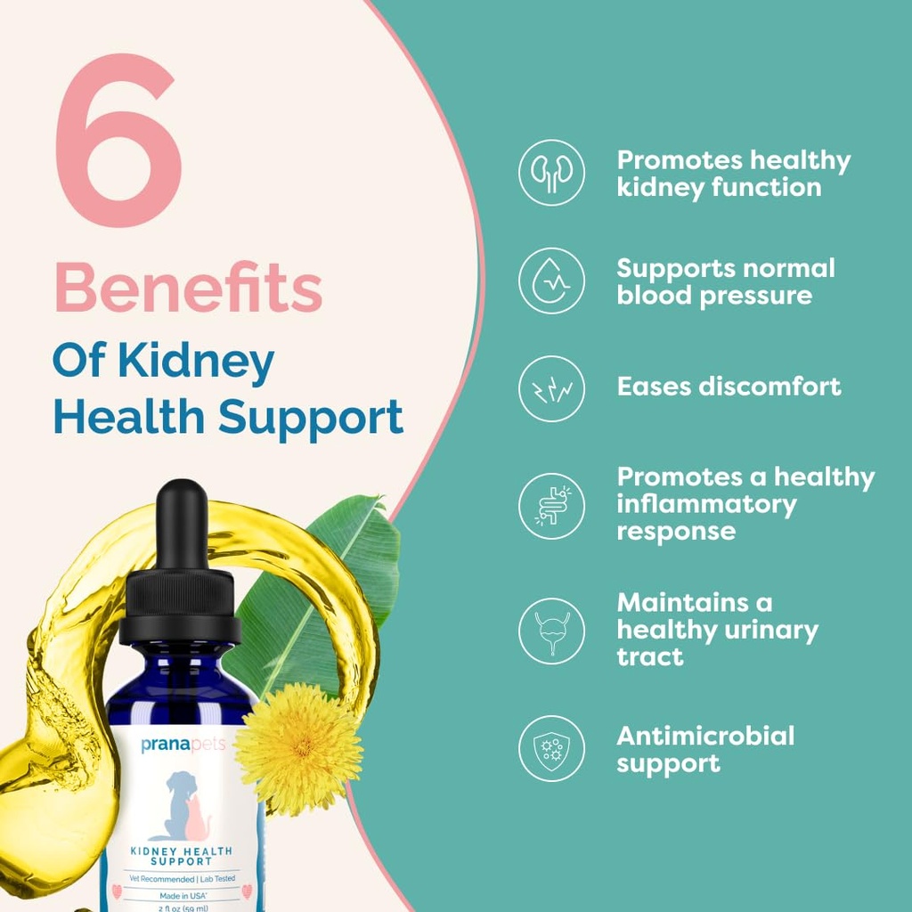 pranapets-kidney-health-support-suppleme-3.jpg