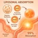 1500-mg-liposomal-nad-98-absorption-nad--3.jpg