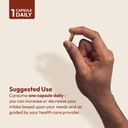 andrew-lessman-cinnamon-400mg-120-capsul-6.jpg