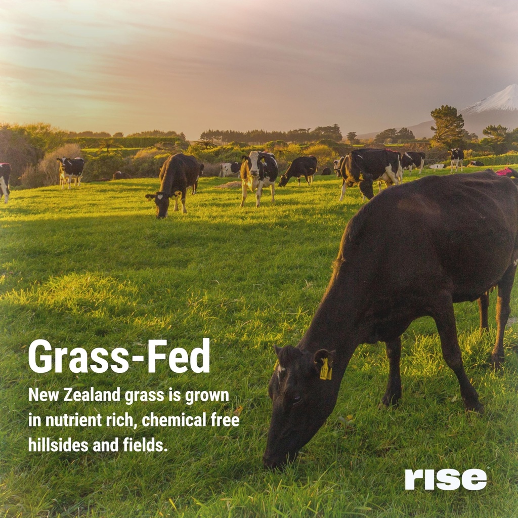 rise-grass-fed-whey-protein-powder-choco-6.jpg