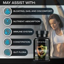 leviathan-nutrition-gi-promotes-healthy--4.jpg