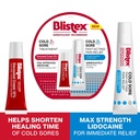 blistex-cold-sore-kit-cold-sore-fever-bl-2.jpg