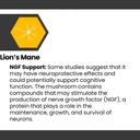 cognisync-nootropic-brain-health-supplem-6.jpg
