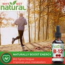 why-not-natural-energy-immunity-mood-and-6.jpg