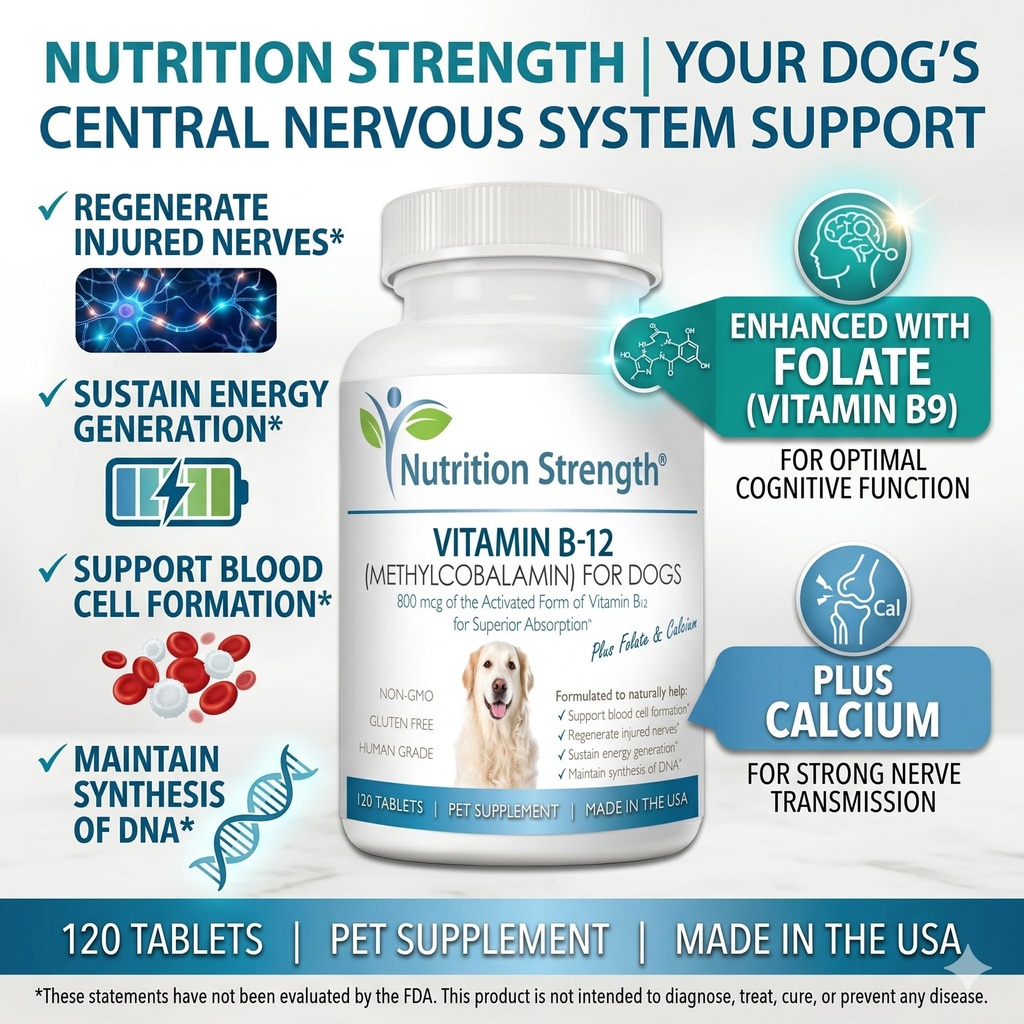 vitamin-b12-for-dogs-plus-folate-calcium-3.jpg