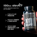 jacked-factory-n-o-xt-nitric-oxide-suppl-3.jpg