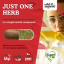 wild-organic-cayenne-pepper-capsules-500-5.jpg