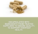evergreen-herbs-cuachalalate-herb-amphip-4.jpg