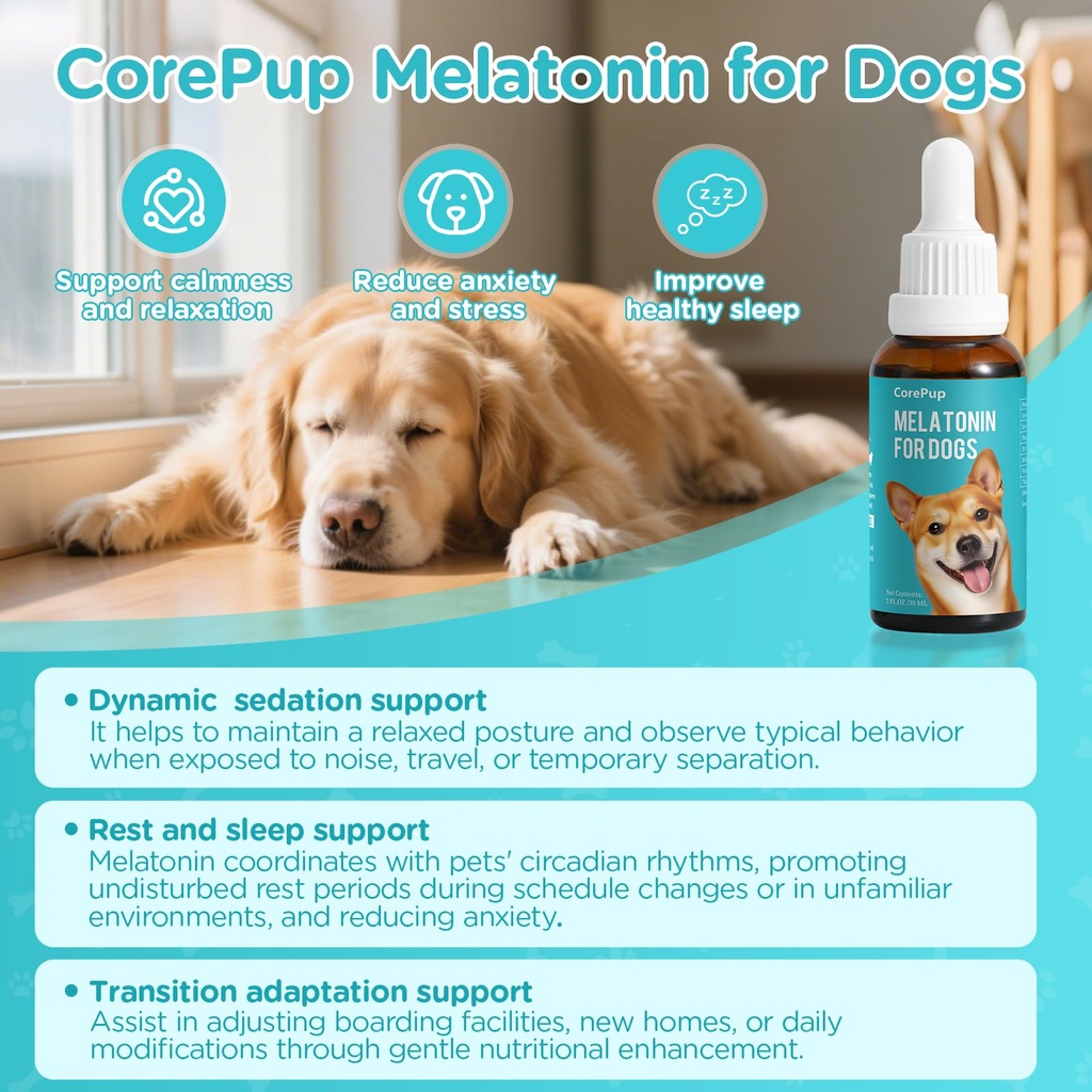 melatonin-for-dogs-dog-sleep-aid-anxiety-2.jpg