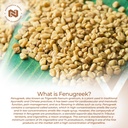 nootropics-depot-fenugreek-extract-capsu-3.jpg