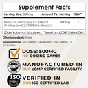 nootropics-depot-lions-mane-mushroom-pow-3.jpg