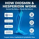 we-like-vitamins-vein-vitality-1250mg-di-4.jpg