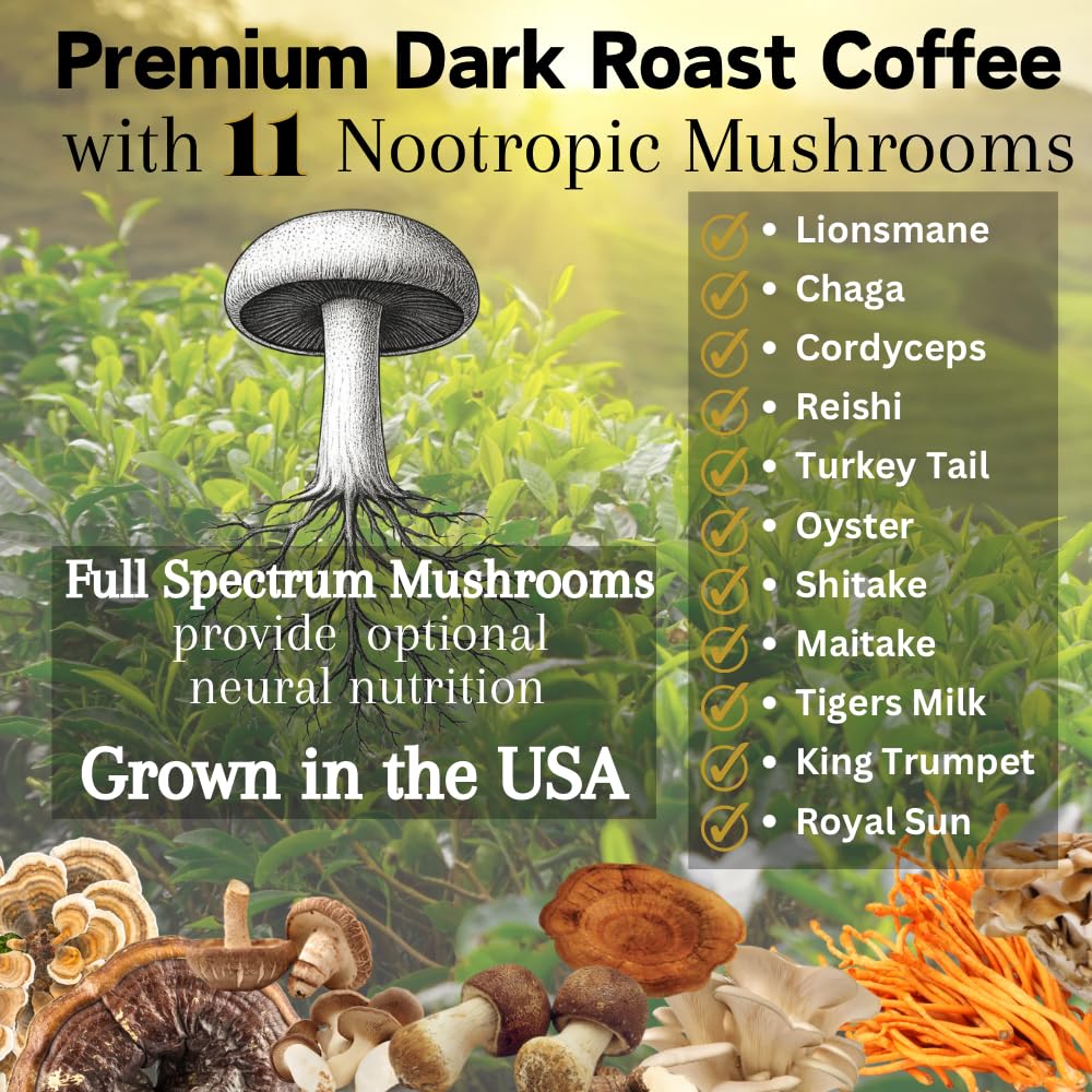 ohmyes-11-mushroom-coffee-with-cacao-11--3.jpg