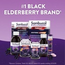 sambucol-black-elderberry-throat-lozenge-5.jpg