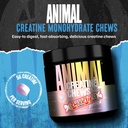 animal-creatine-chews-x-smarties-edition-2.jpg