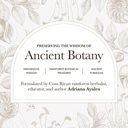 anima-mundi-apothecary-suma-brazilian-gi-2.jpg