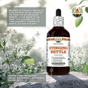 stinging-nettle-urtica-dioica-dry-root-g-5.jpg