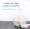 nutrachamps-multi-collagen-pills-types-i-5.jpg