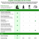 wellness-nest-shilajit-shockwave-drops-e-4.jpg