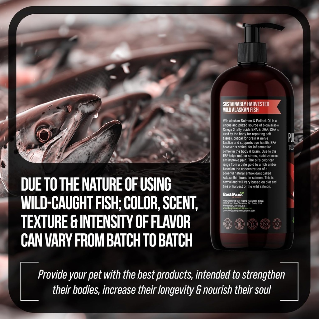pure-wild-alaskan-salmon-oil-for-dogs-ca-6.jpg