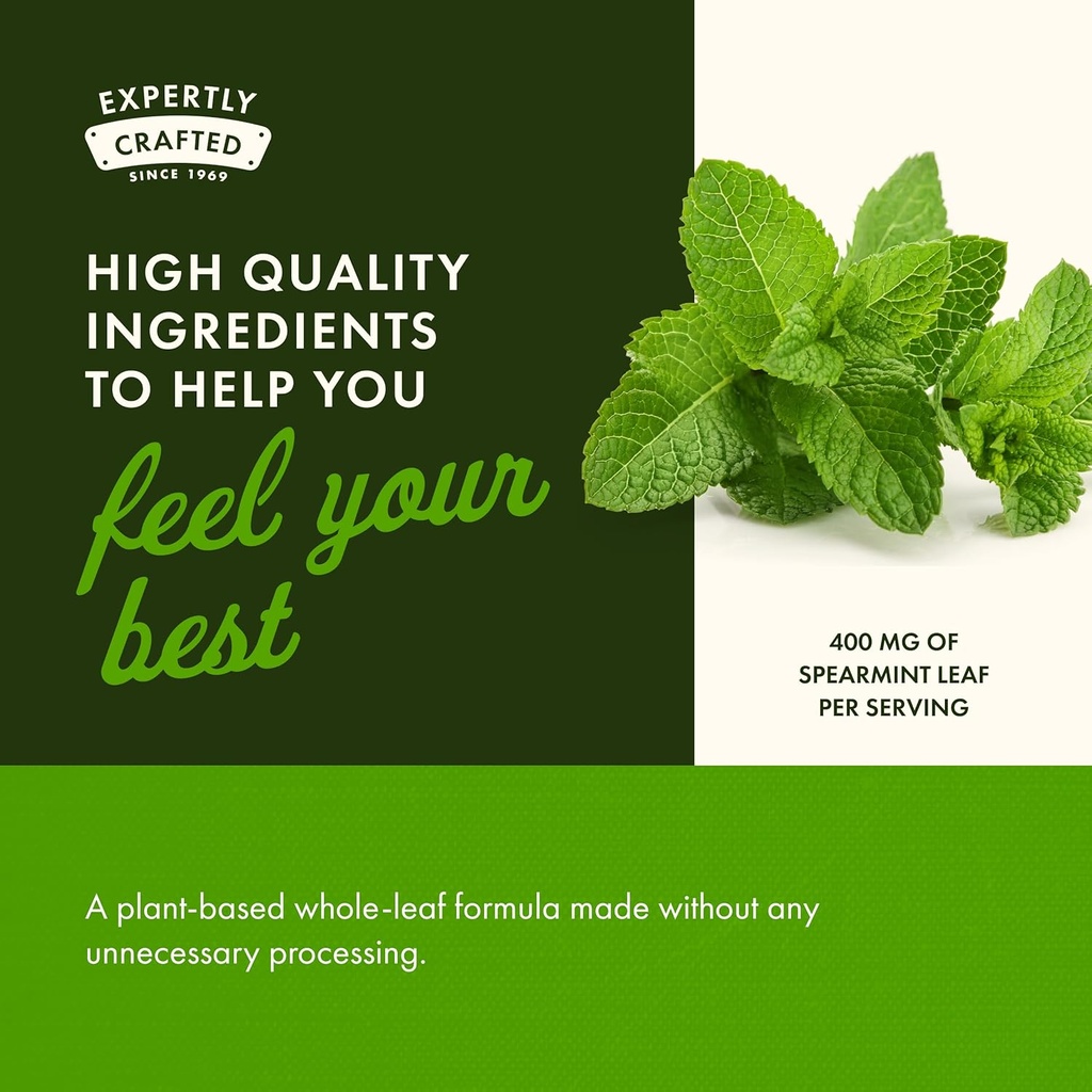 swanson-spearmint-leaf-mentha-spicata-fu-5.jpg
