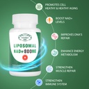 nad-supplement-liposomal-nad-plus-800mg--6.jpg