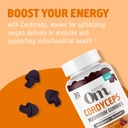 om-mushroom-superfood-cordyceps-gummies--6.jpg