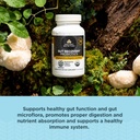 ancient-nutrition-regenerative-organic-c-3.jpg