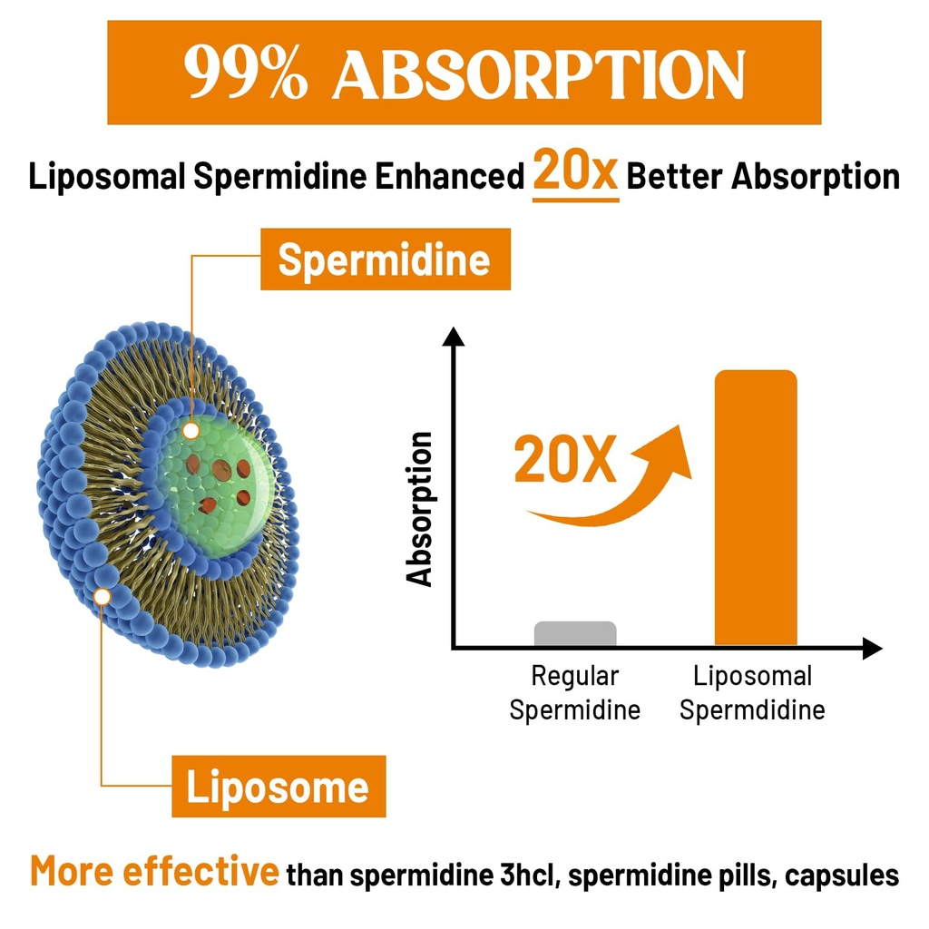 30mg-spermidine-supplement-for-men-women-4.jpg