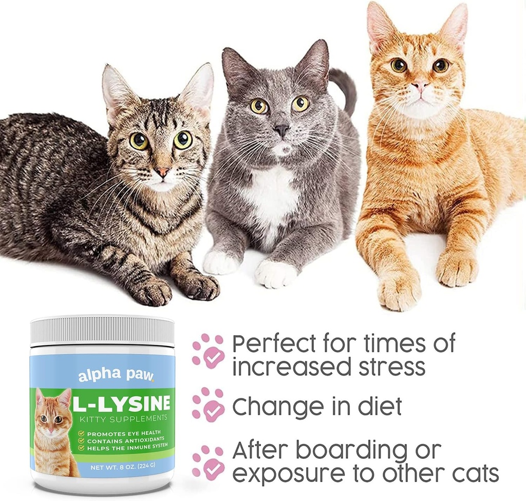 alpha-paw---human-grade-for-pets---cat-l-5.jpg