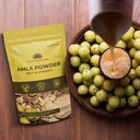 saptamveda-amla-indian-gooseberry-powder-3.jpg