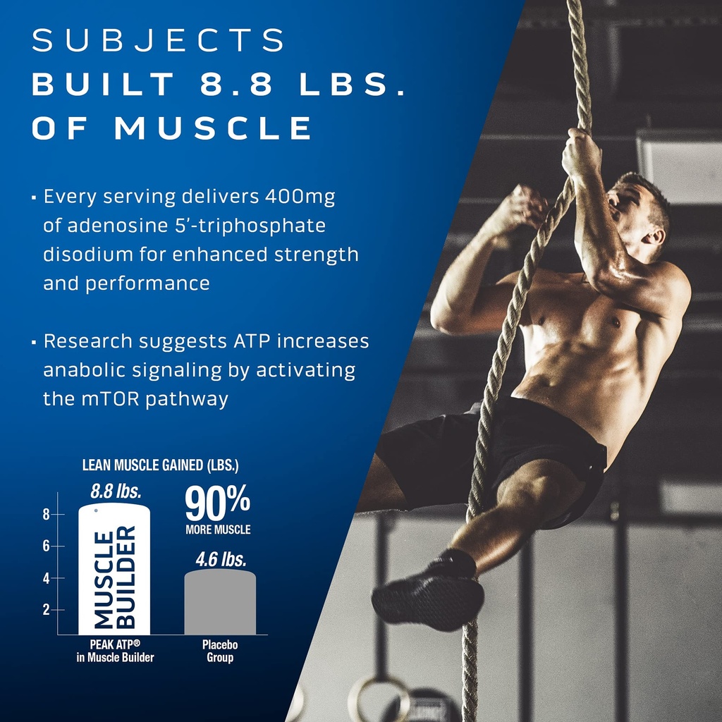 muscletech-muscle-builder-with-400mg-pea-4.jpg